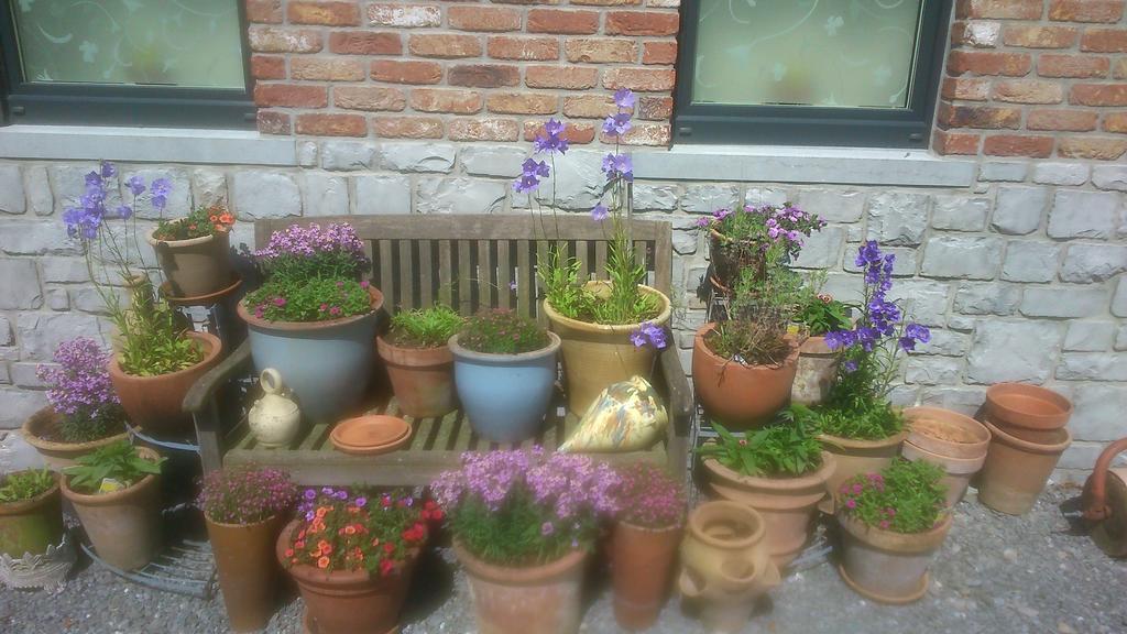 B&B Au Coeur De Villers Zewnętrze zdjęcie