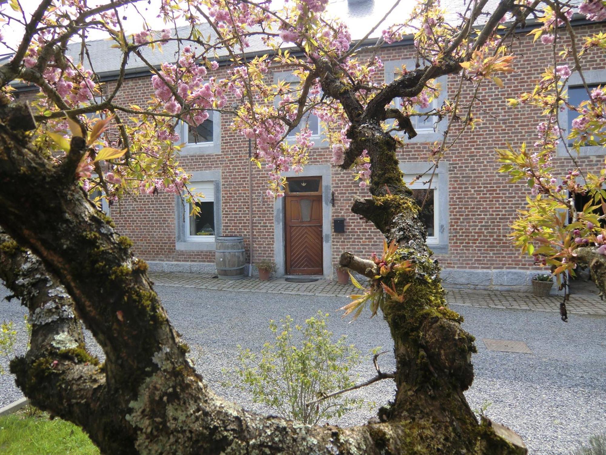 B&B Au Coeur De Villers Zewnętrze zdjęcie