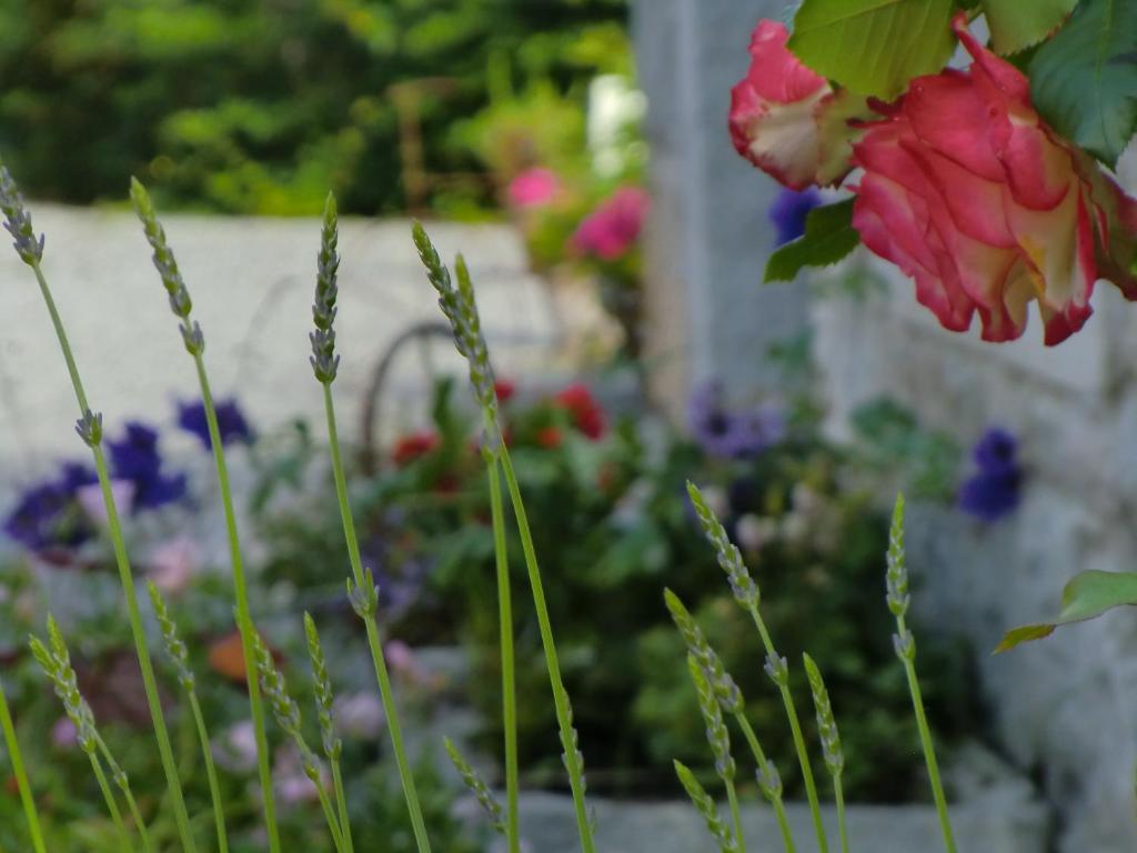 B&B Au Coeur De Villers Zewnętrze zdjęcie
